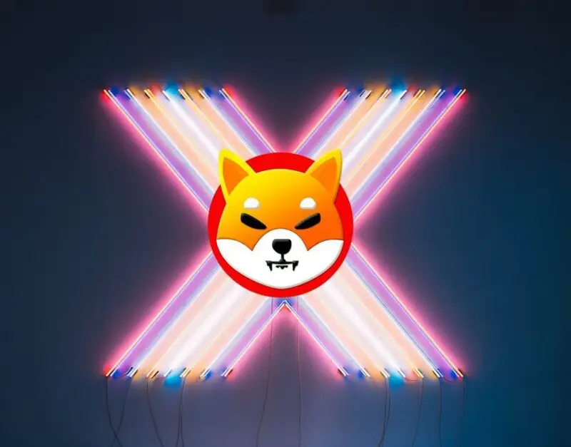 Shiba Inu Lights