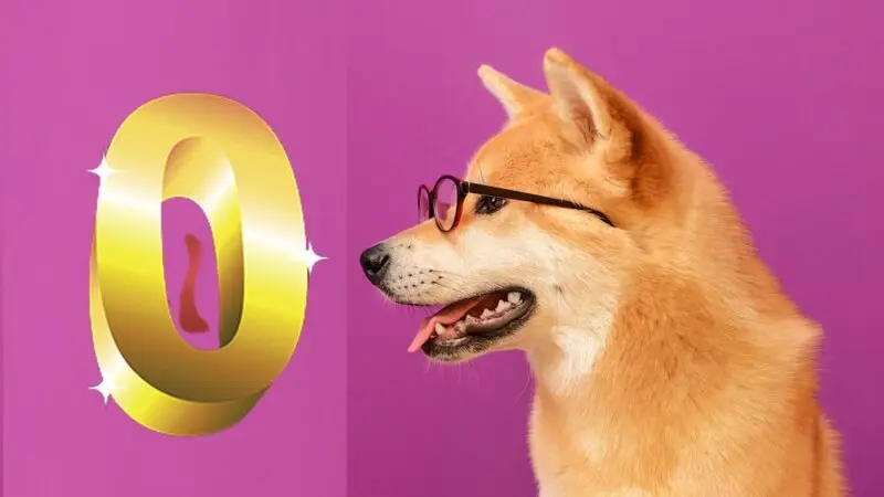 shiba inu zero 0