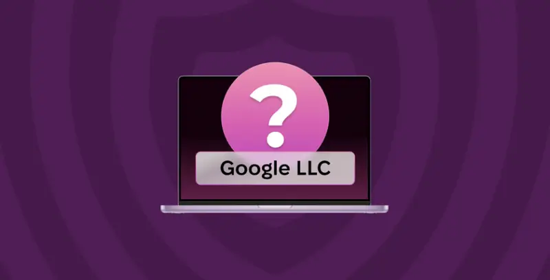 What is Google LLC on my Mac?