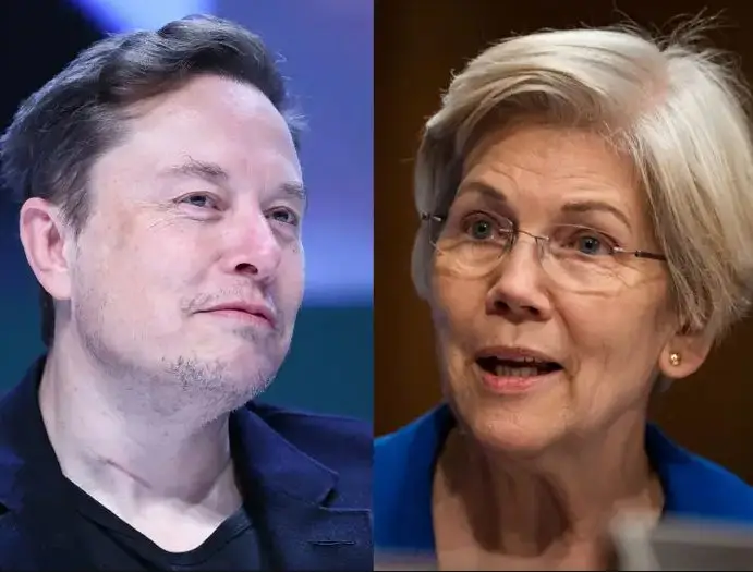 Elizabeth Warren Musk about D.O.G.E.