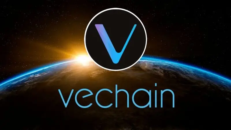 VECHAIN space