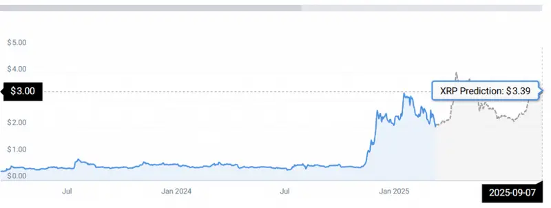 XRP STATS