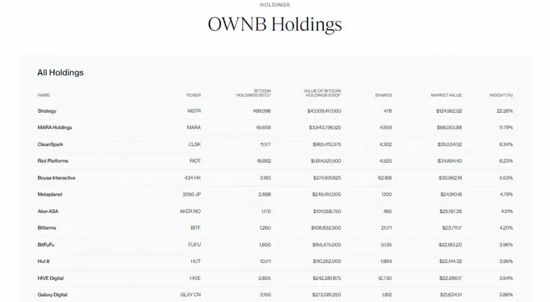 OWNB Holdings showing companies with Bitcoin reserves