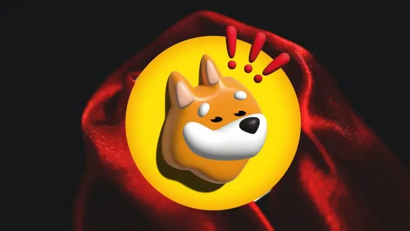 BONK Meme Coin