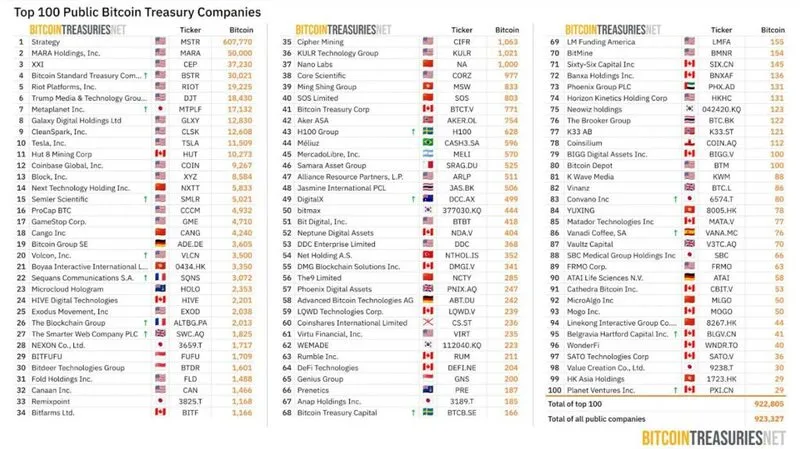 Top 100 Public Bitcoin Treasury Companies chart
