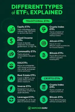 Different types of ETFs explained infographic