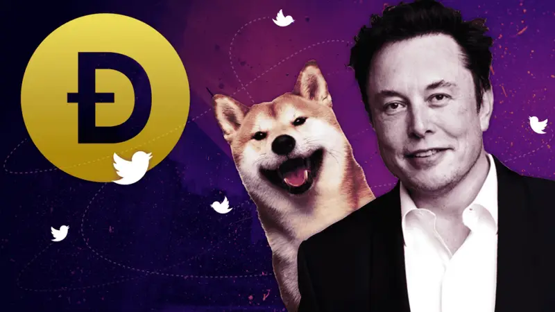 dogecoin elon musk