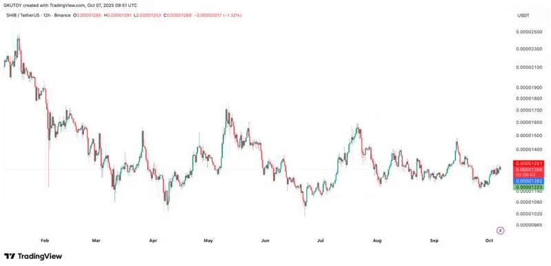 SHIB/USDT 12-hour price chart showing recent trading patterns and price decline