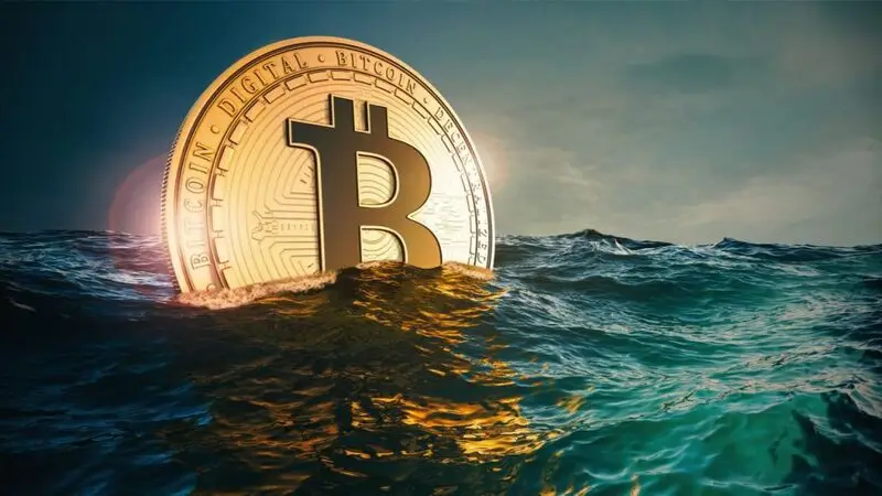 Bitcoin BTC Whale Water