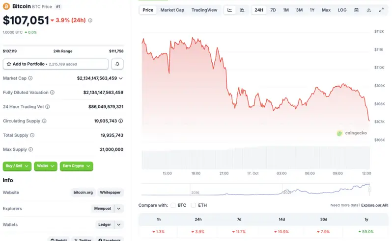 Bitcoin crypto market crash
