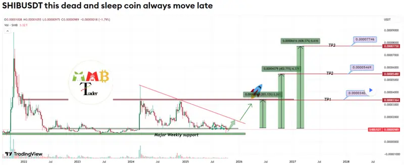 MMB Trader noted that SHIB will recover late