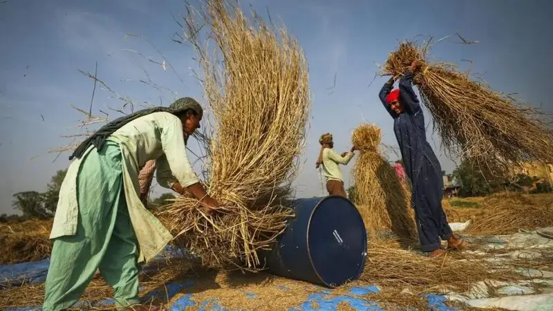 BRICS Grain Pilot and Russian Exchange