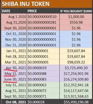 Shiba Inu SHIB rise over the years