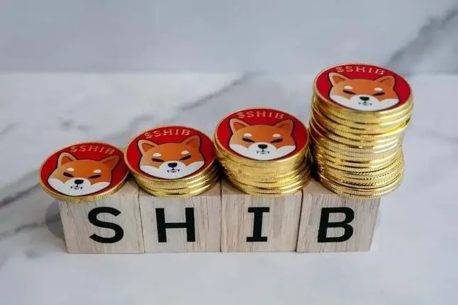 Shiba Inu money