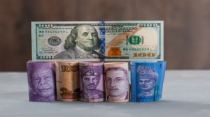 BRICS: US Dollar Remains in High Demand, De-Dollarization Failing