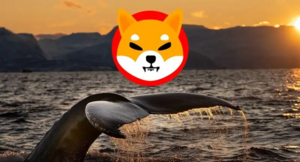 Shiba Inu: Whales Stack up on SHIB Amid Price Fall to Spark Rally