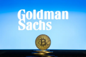 Bitcoin: Goldman Sachs Increases BTC ETF Holdings By 121%