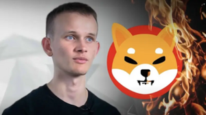 Shiba Inu: SHIB's Price If Another Vitalik Buterin Type Burn Occurs