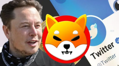 Shiba Inu: When Elon Musk Revealed How Much SHIB He Owns