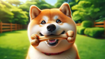 Shiba Inu (SHIB) Weekend Price Prediction 