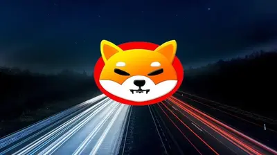 Math Answers If Shiba Inu Can Reach $2