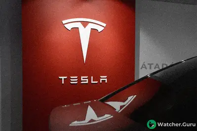 Tesla (TSLA) Stock Rallies, Wedbush Raises Forecast to $600 ATH