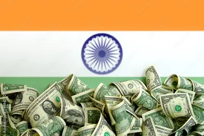 India Skips Dollar Purchases For the First Time in a Decade