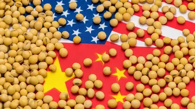China Rejects US Soybeans, Buys From BRICS Countries