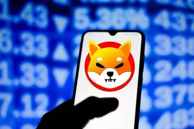 Shiba Inu Holders Decline for the First Time in 2 Years