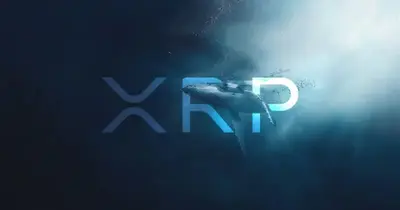 55 Million XRP Transfer Hits Ripple Wallet: What's Happening?