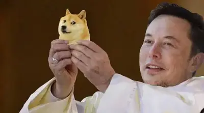 Is Elon Musk Dogecoin's Only Hope for Reaching $1?