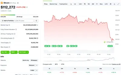 Cryptocurrency Market Faces Major Crash, Bitcoin Falls To $112k