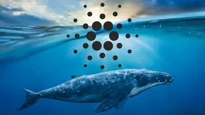 ADA Whales Buy the Dip: A Bullish Sign for Cardano Price?