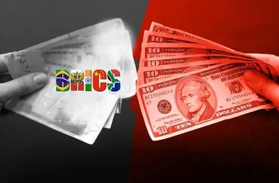 BRICS Currency Not in Everyone's Interest: Diplomat